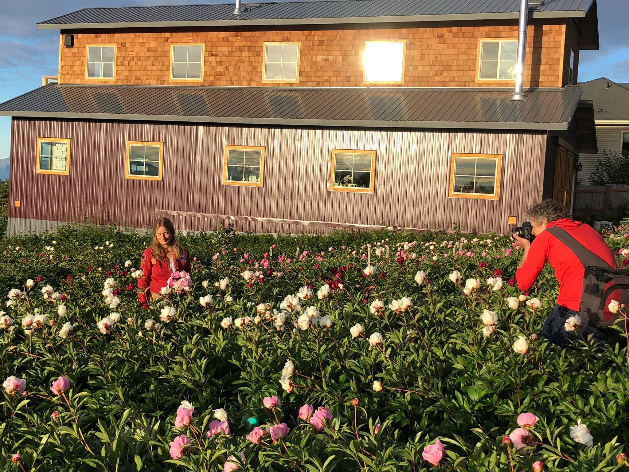 Chilly Root Peony Farm portfolio 4