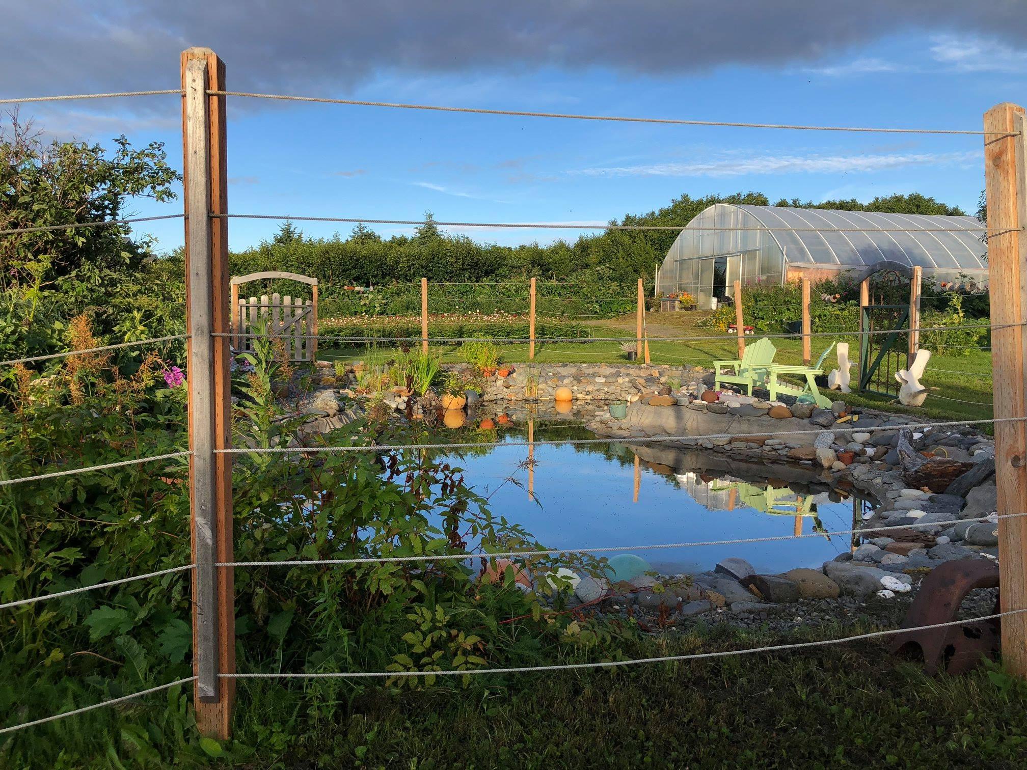 Chilly Root Peony Farm portfolio 2