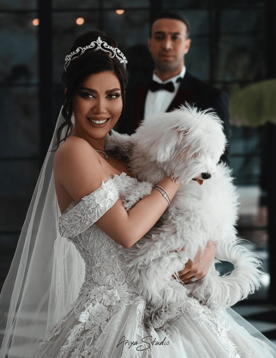 Ariya Studios portfolio 1