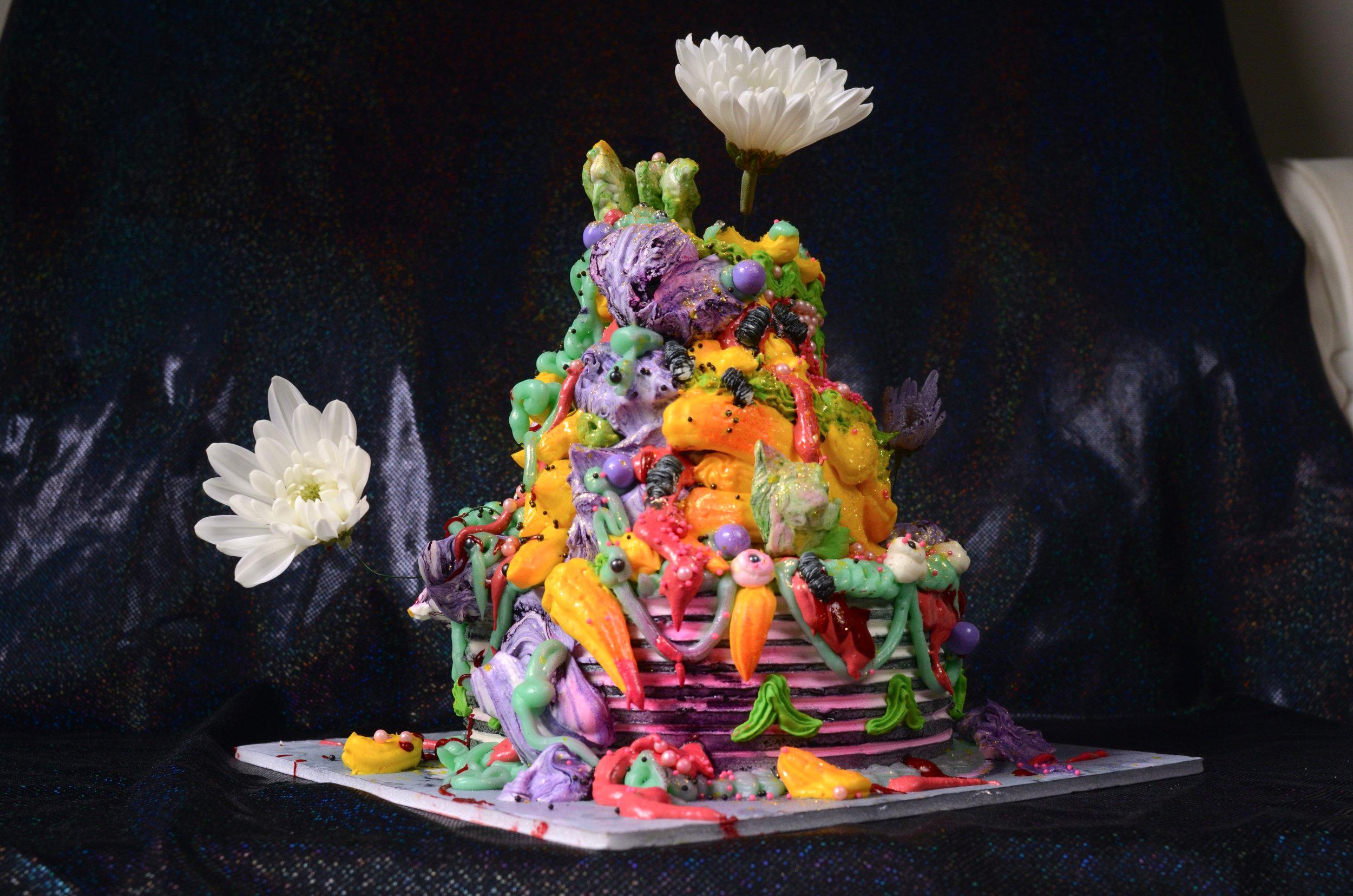 Cakes for No Occasion portfolio 1