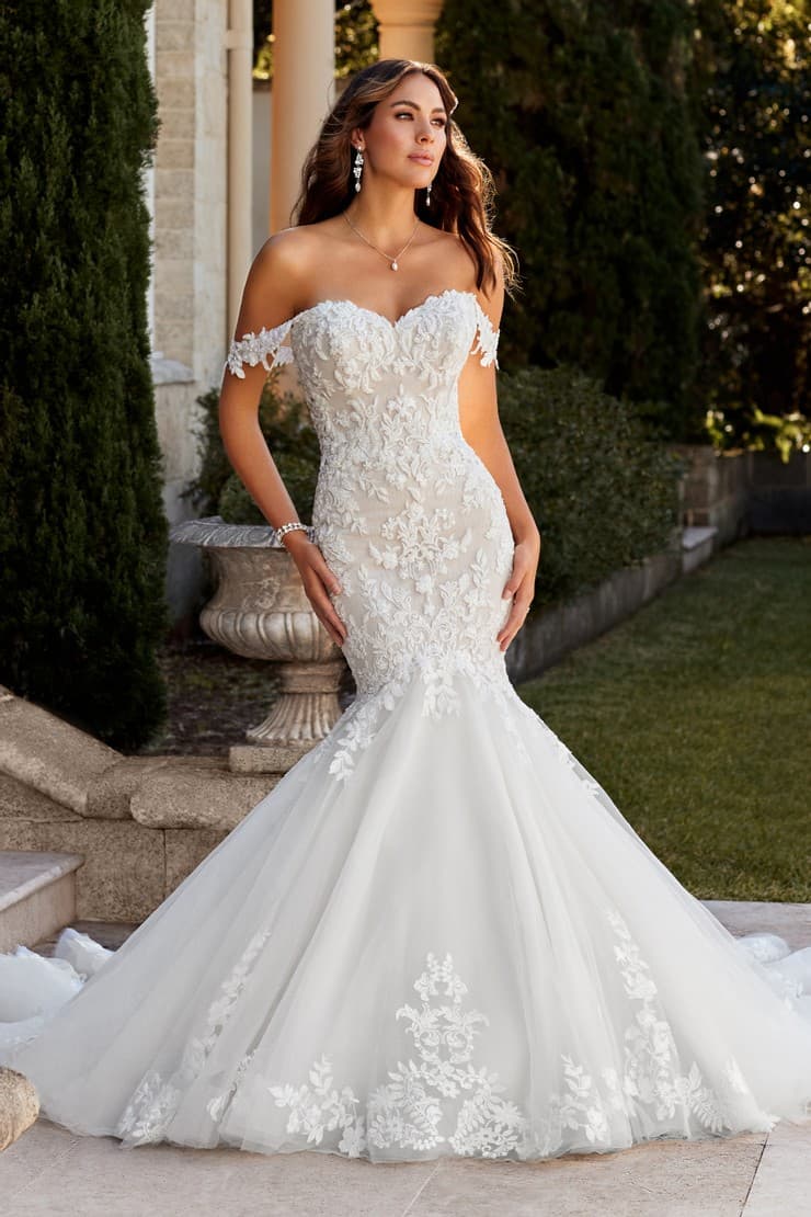 Sophia Tolli