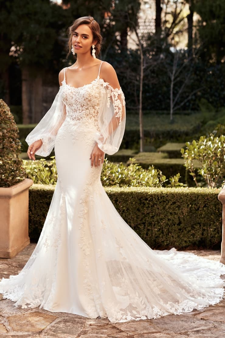 Sophia Tolli portfolio 3
