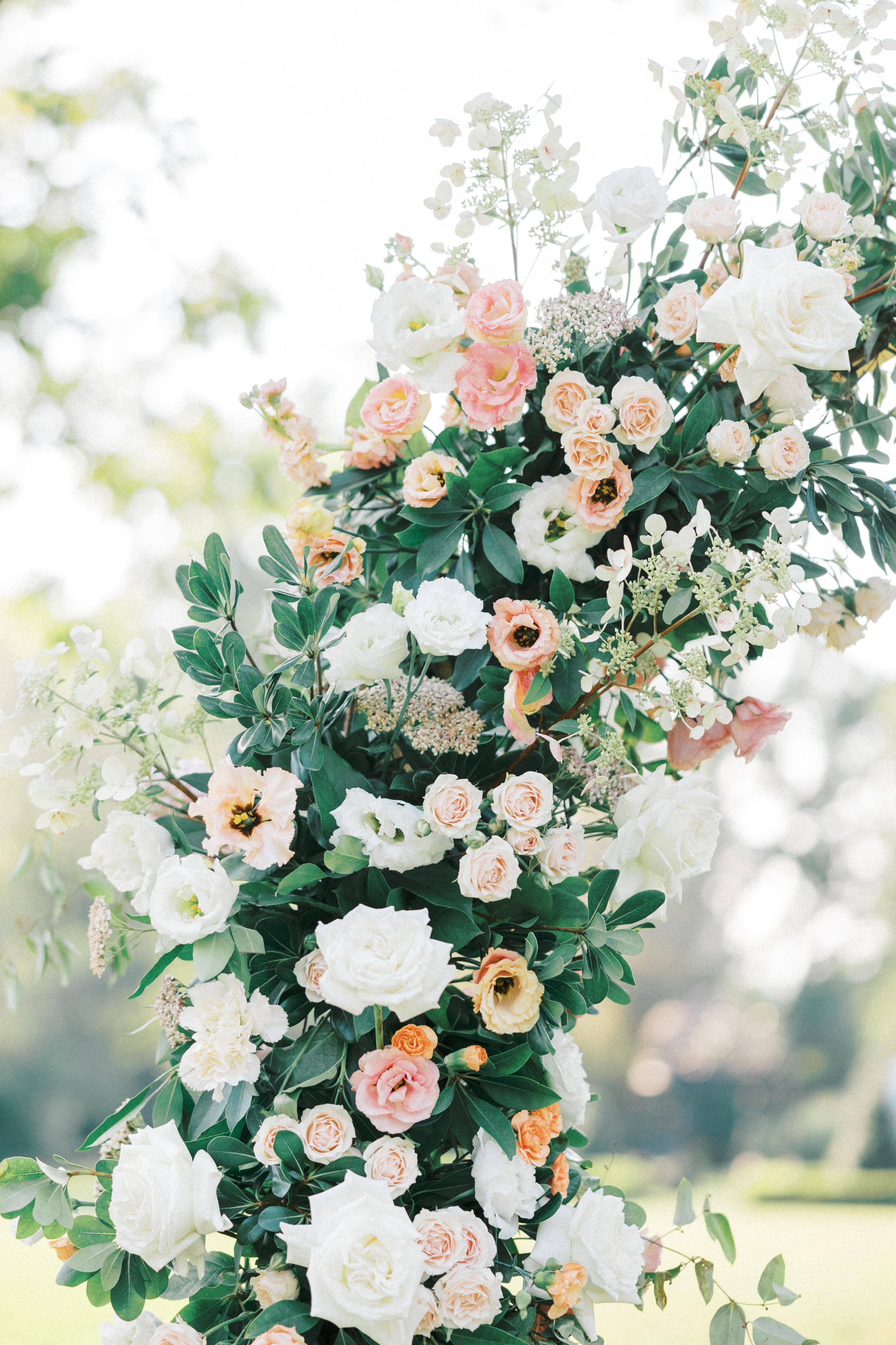 RAM Floral portfolio 3