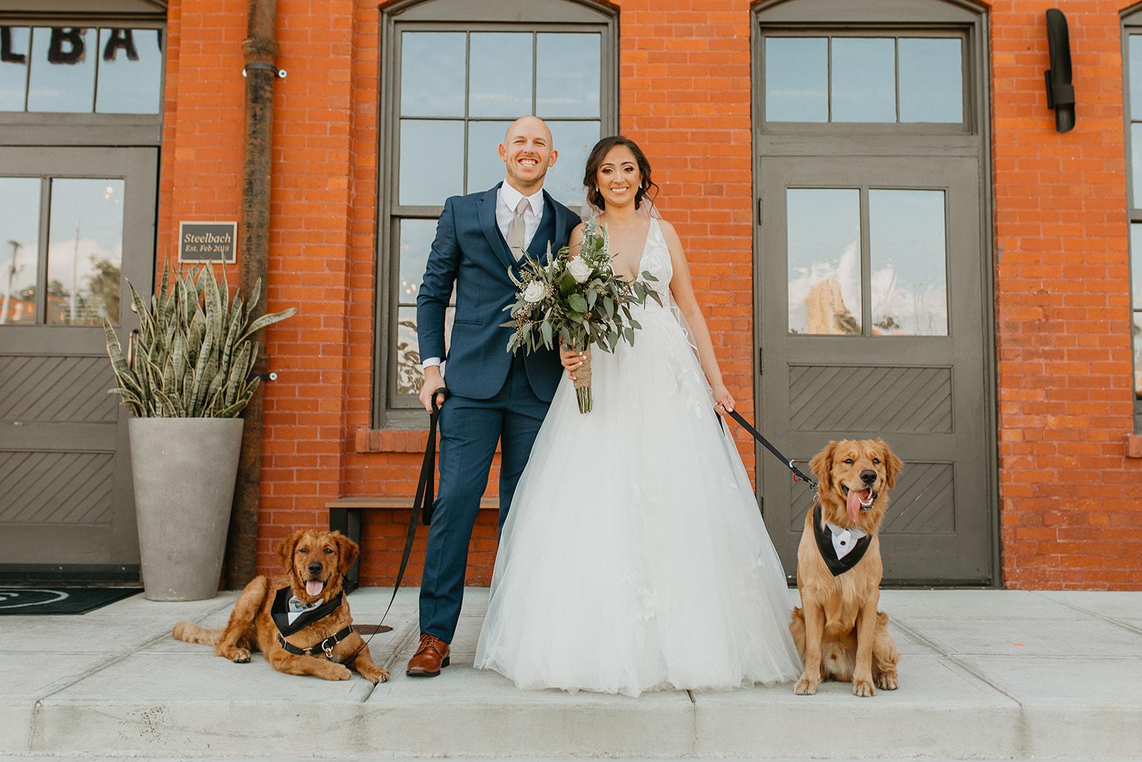 Furry Ventures Pet Care portfolio 2