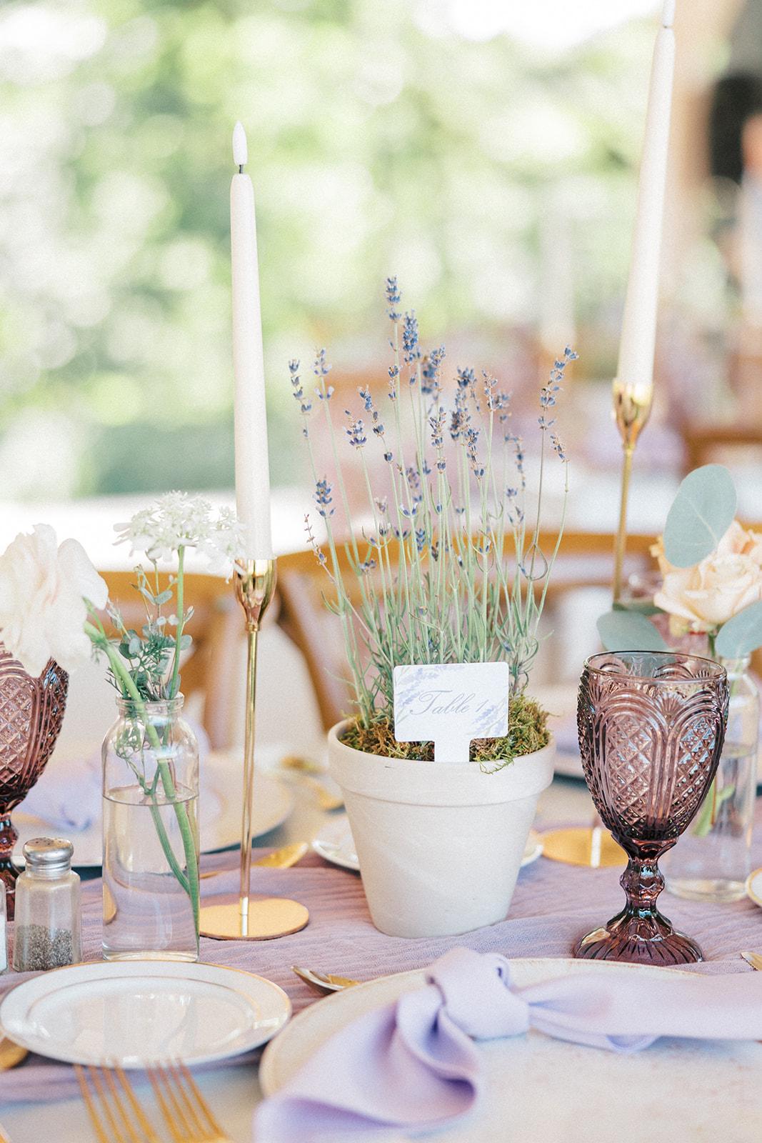 Weir Event Rentals portfolio 1
