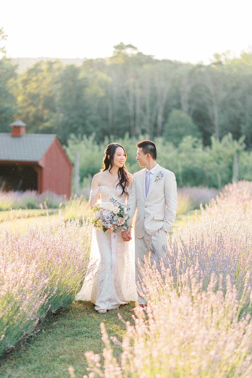 Orchard View Lavender Farm portfolio 3