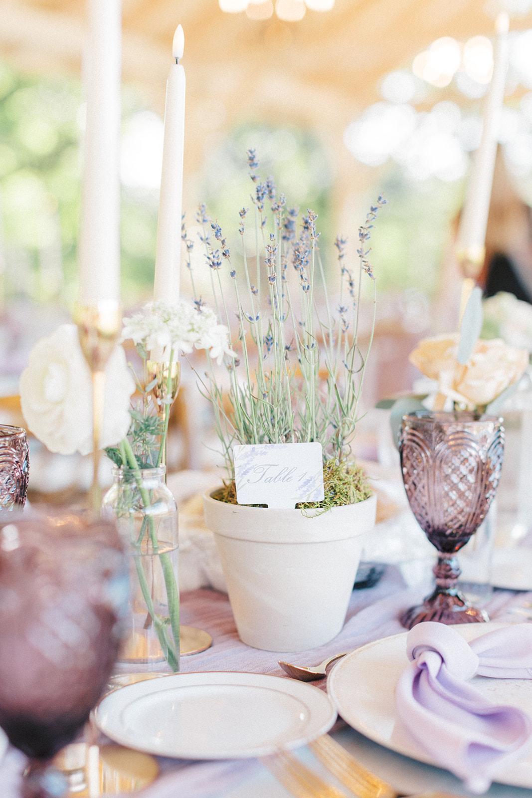 Weir Event Rentals portfolio 4