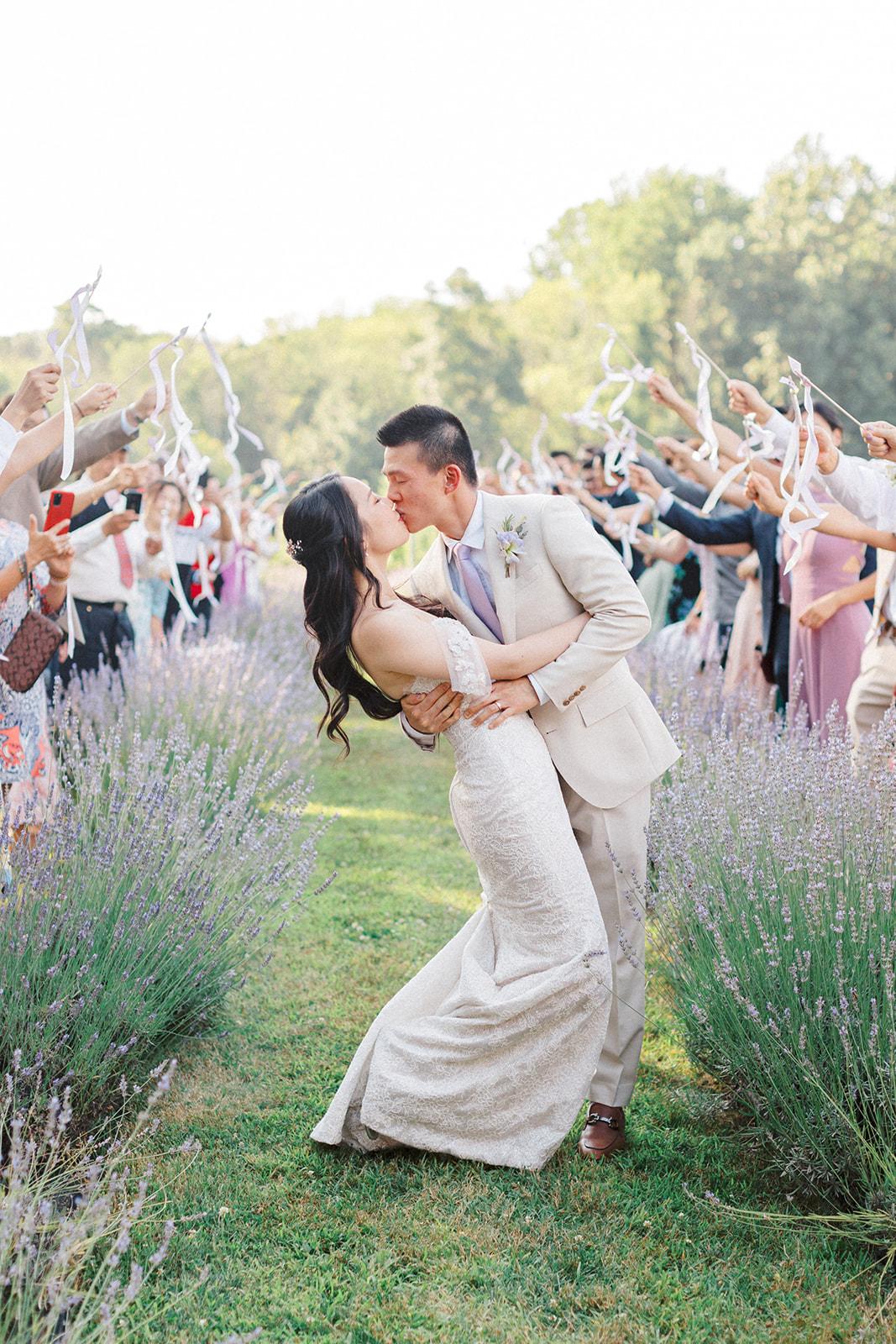 Orchard View Lavender Farm portfolio 5