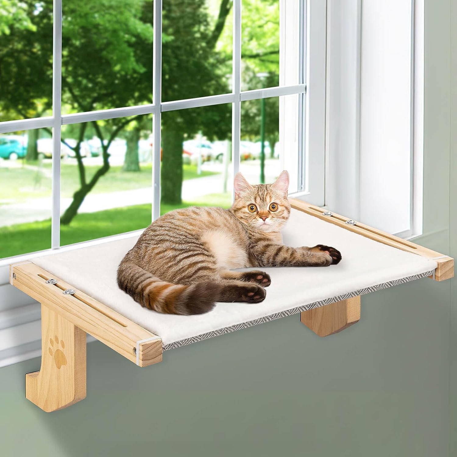 Cat Perch