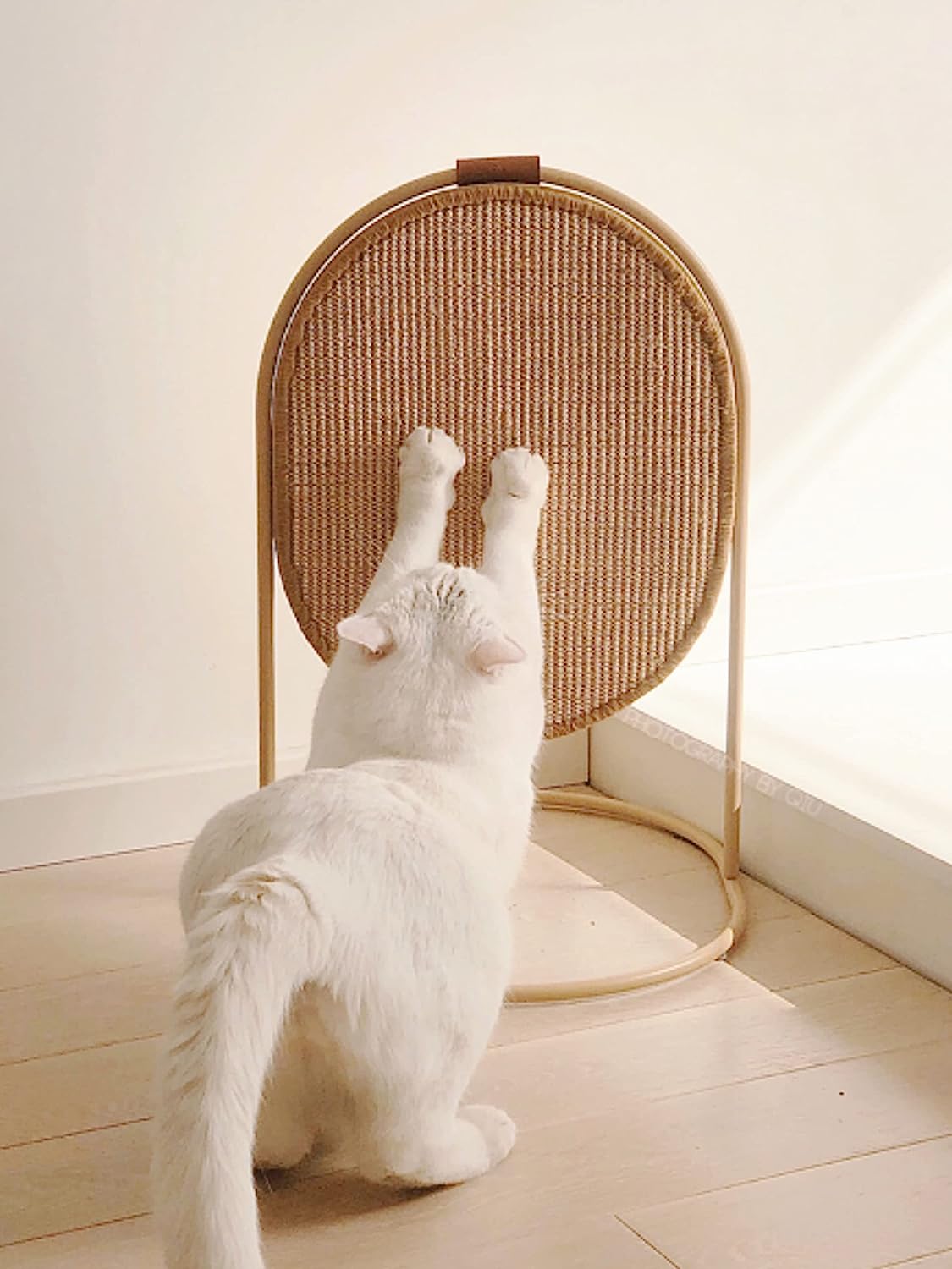 Cat Scratching Post
