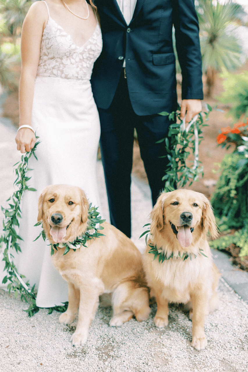 Ivory + Beau portfolio 3