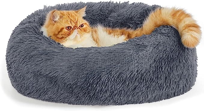 Cat Bed