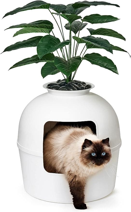 Hidden Litter Box