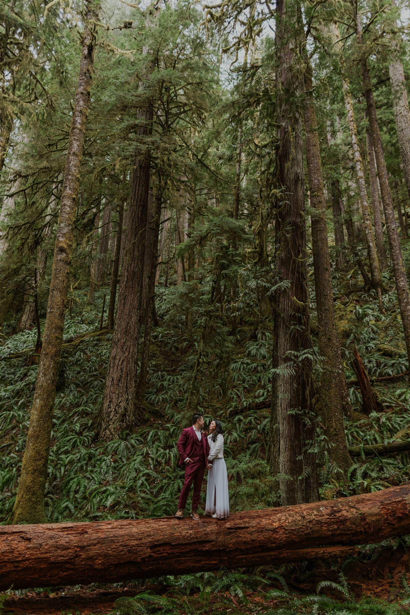 A Romantic Winter Elopement at Olympic National Park photo 3