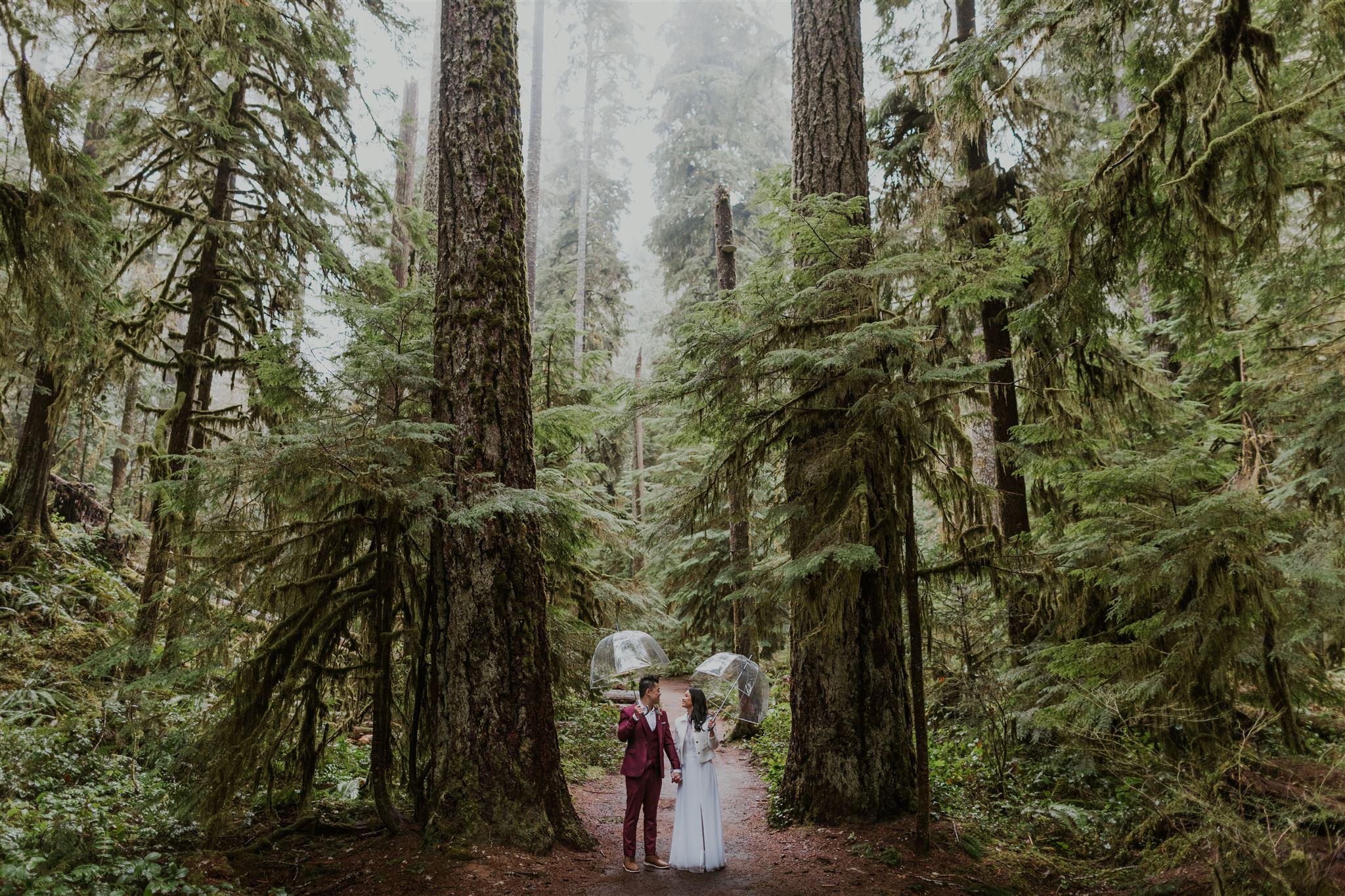 A Romantic Winter Elopement at Olympic National Park photo 4