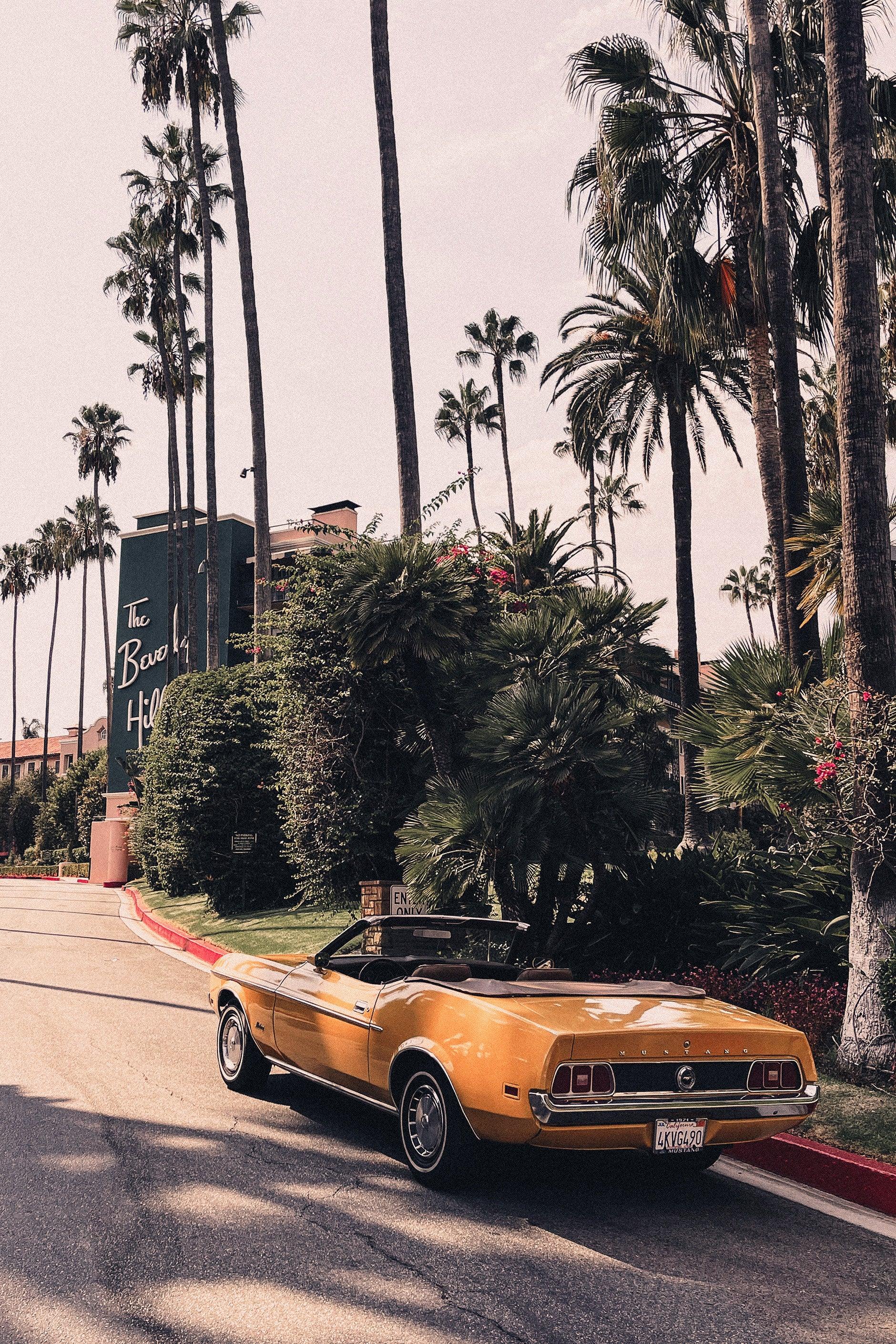 Hollywood Classic Cars portfolio 4