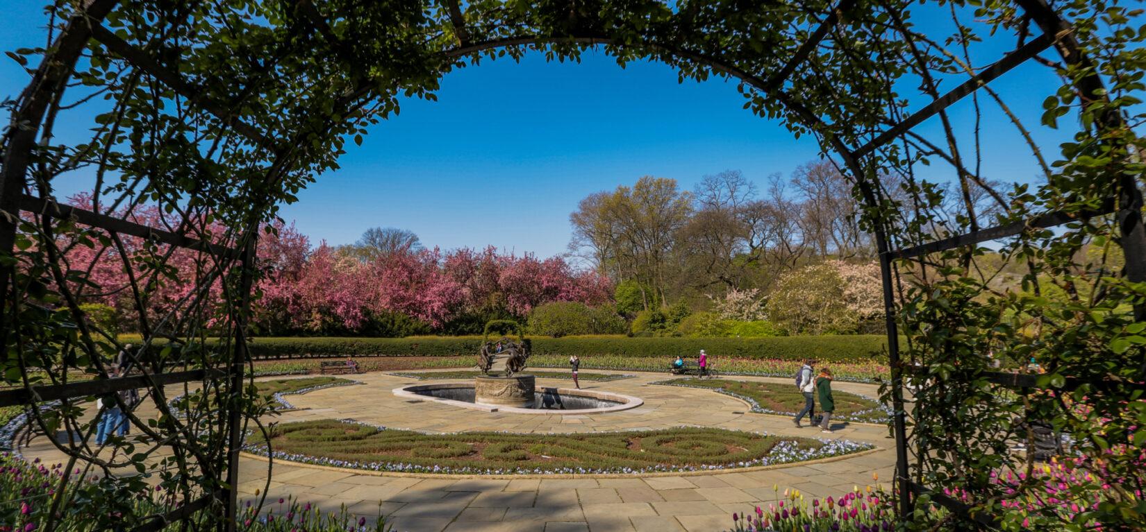 Central Park Conservatory Garden portfolio 2
