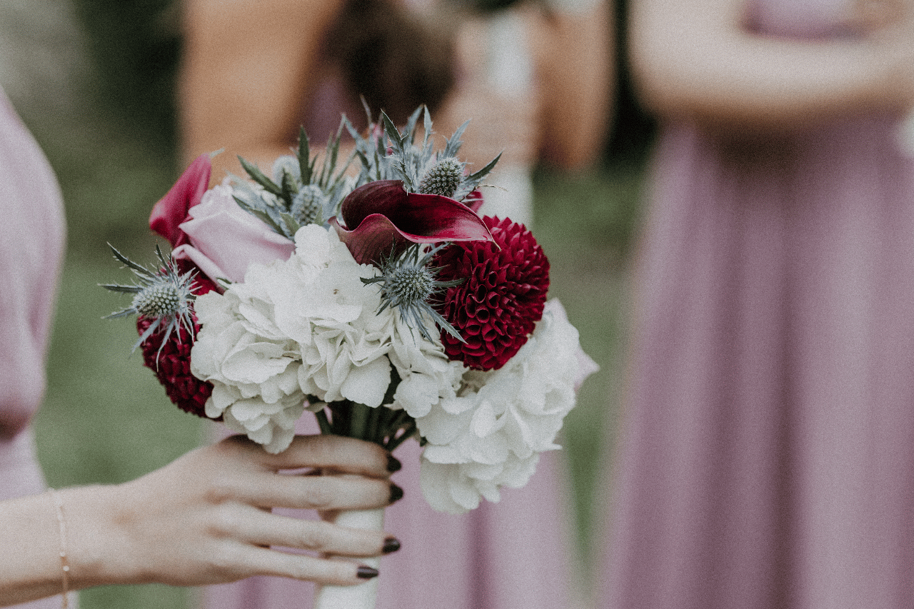 Flowers by Darlene