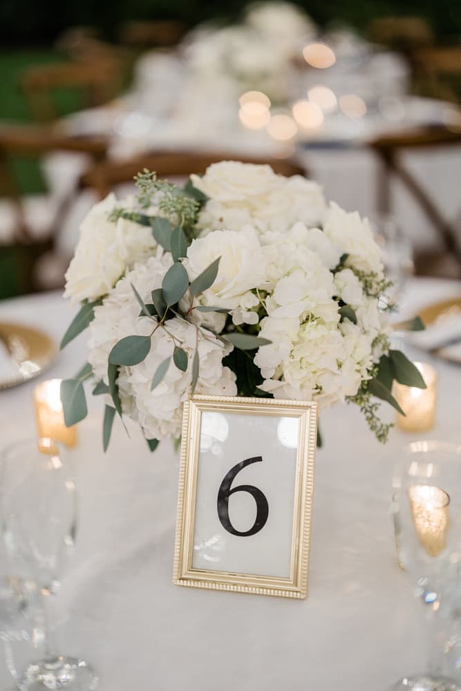 A Classic Wedding at Falkner Winery 12