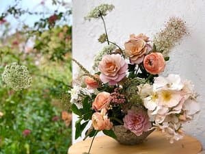 Honey and Poppies portfolio 3