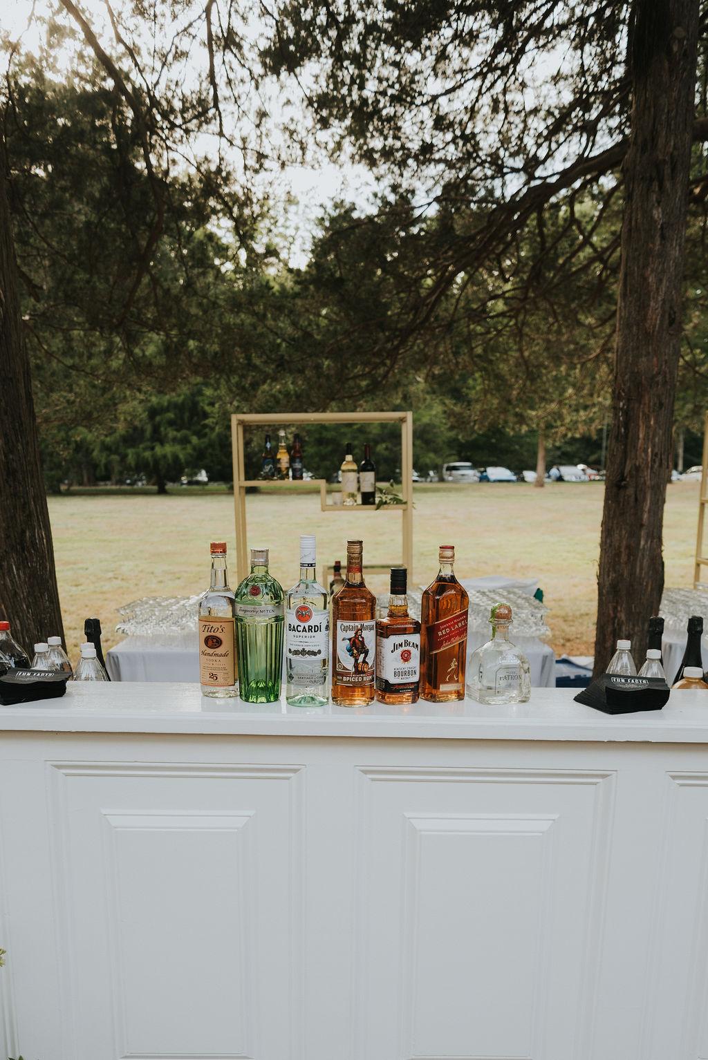 Lindsay Bednarz & Besnik Balidemaj's wedding 66