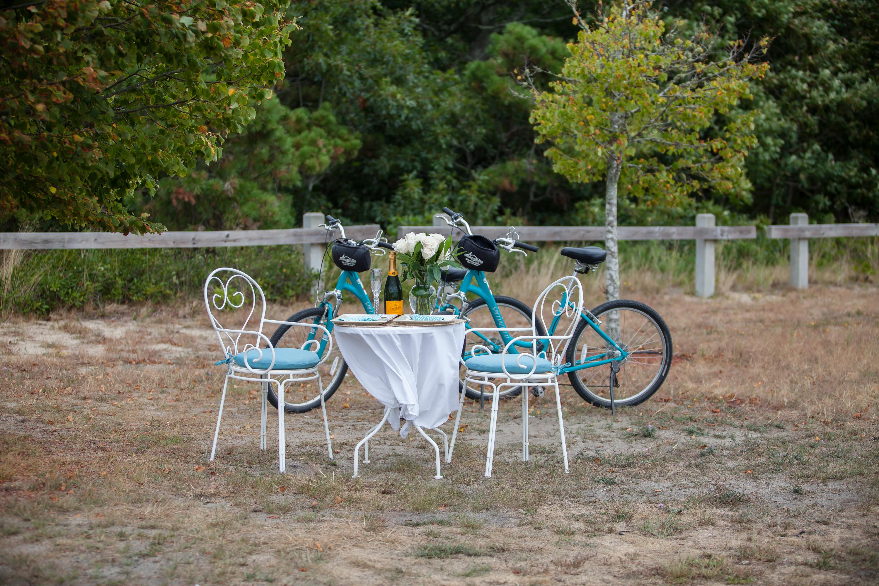 A Romantic Picnic Proposal in Massachusetts photo 2