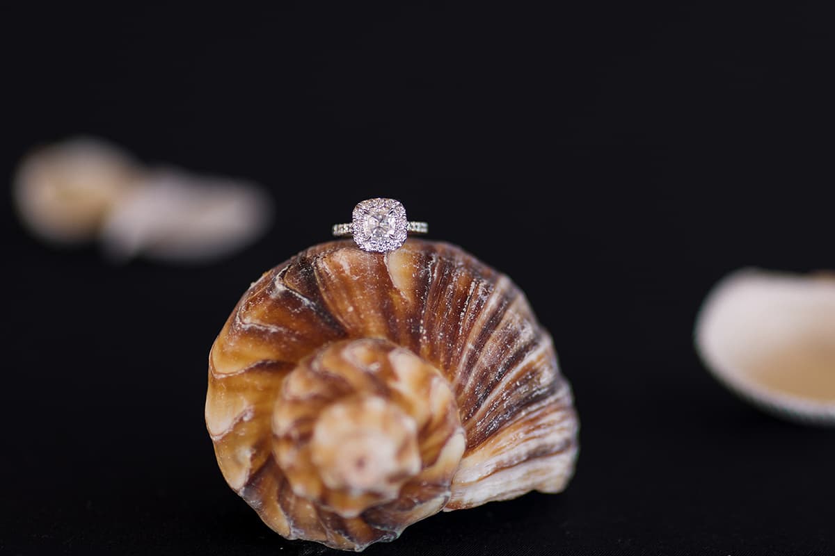 An Intimate Beach Proposal at Chatham Bars Inn 6