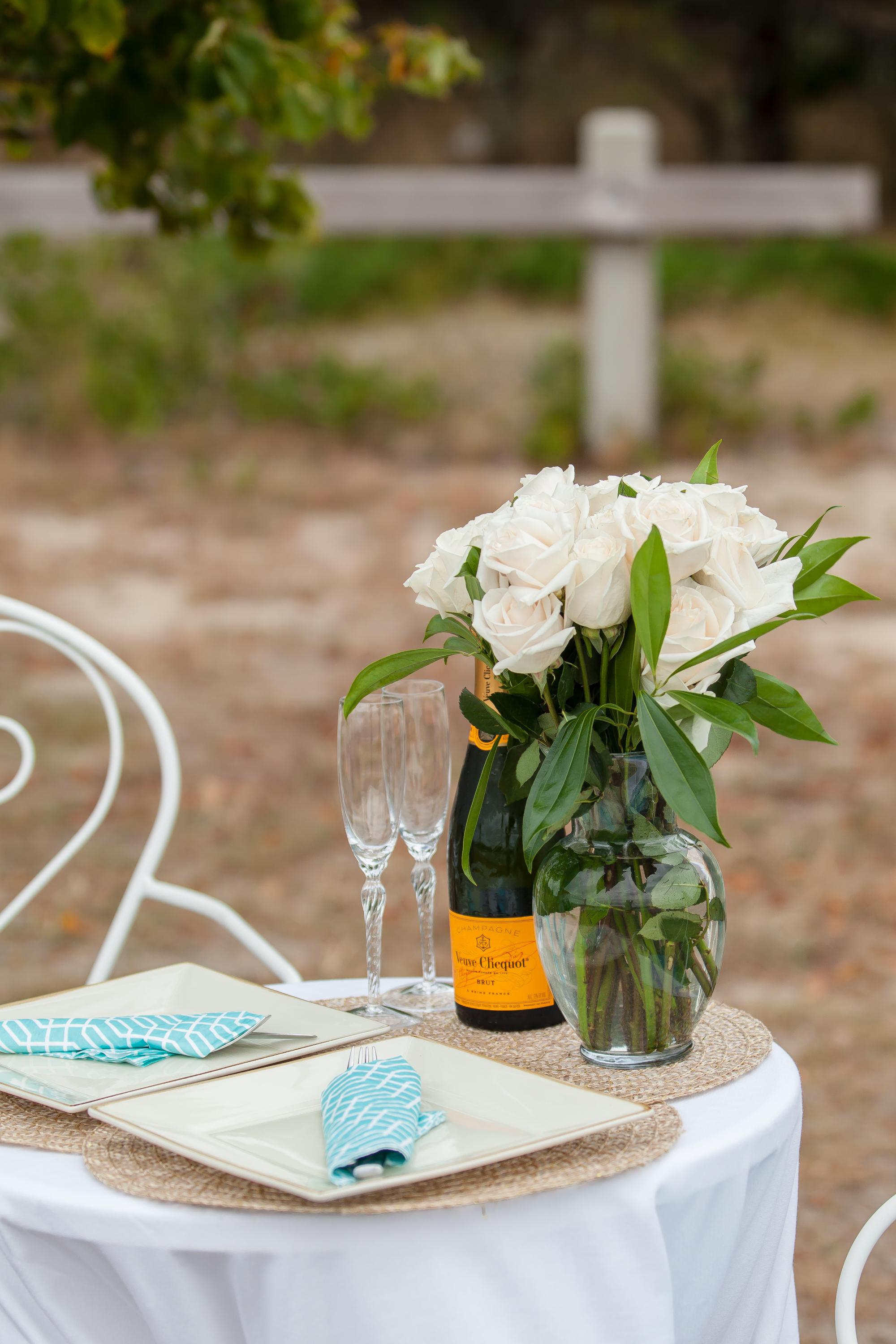 A Romantic Picnic Proposal 44