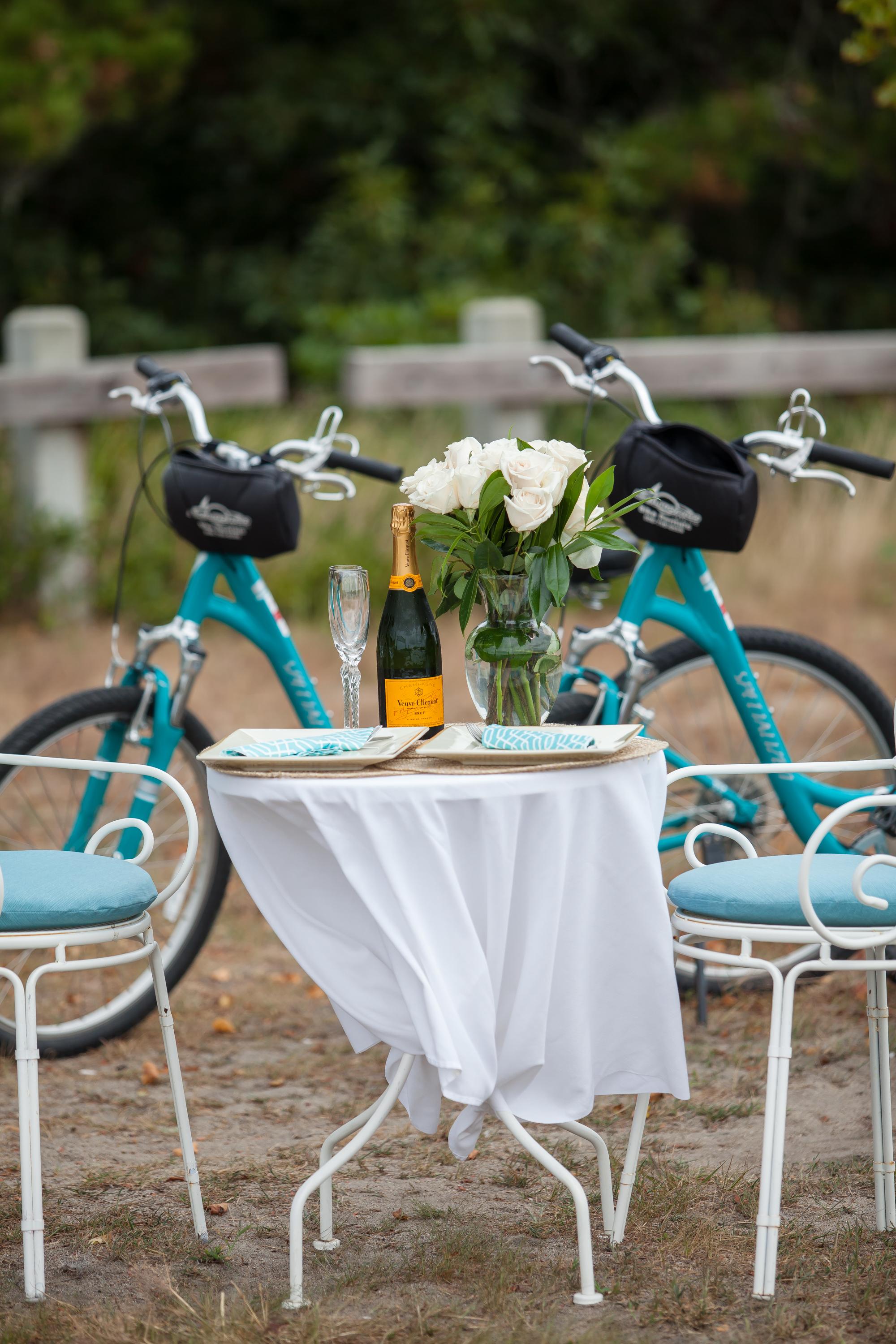 A Romantic Picnic Proposal in Massachusetts 58