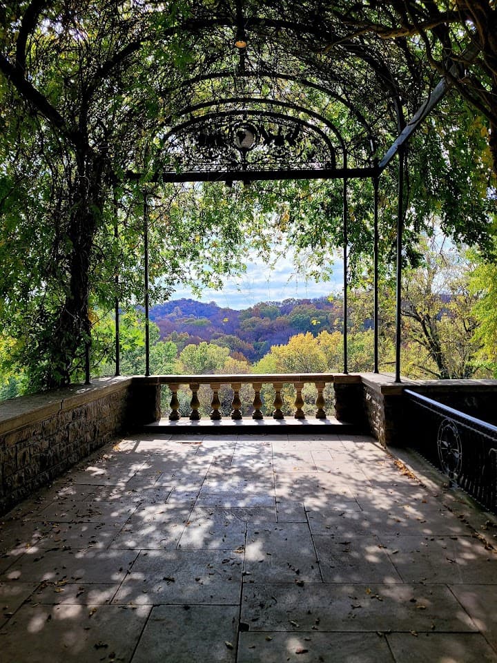 Cheekwood portfolio 5