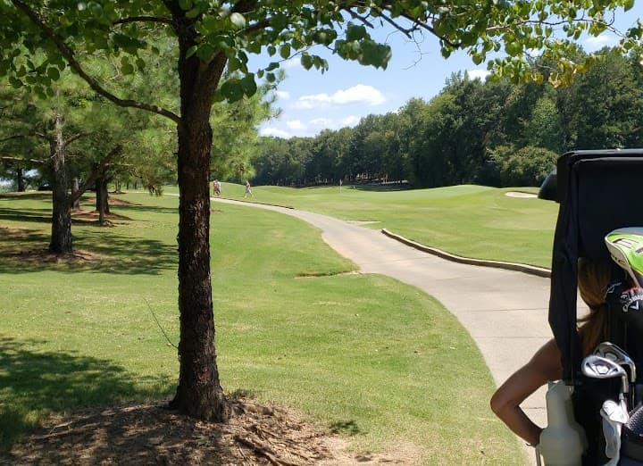 Olde Sycamore Golf Plantation portfolio 3