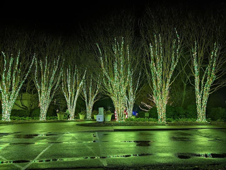 Cheekwood portfolio 3