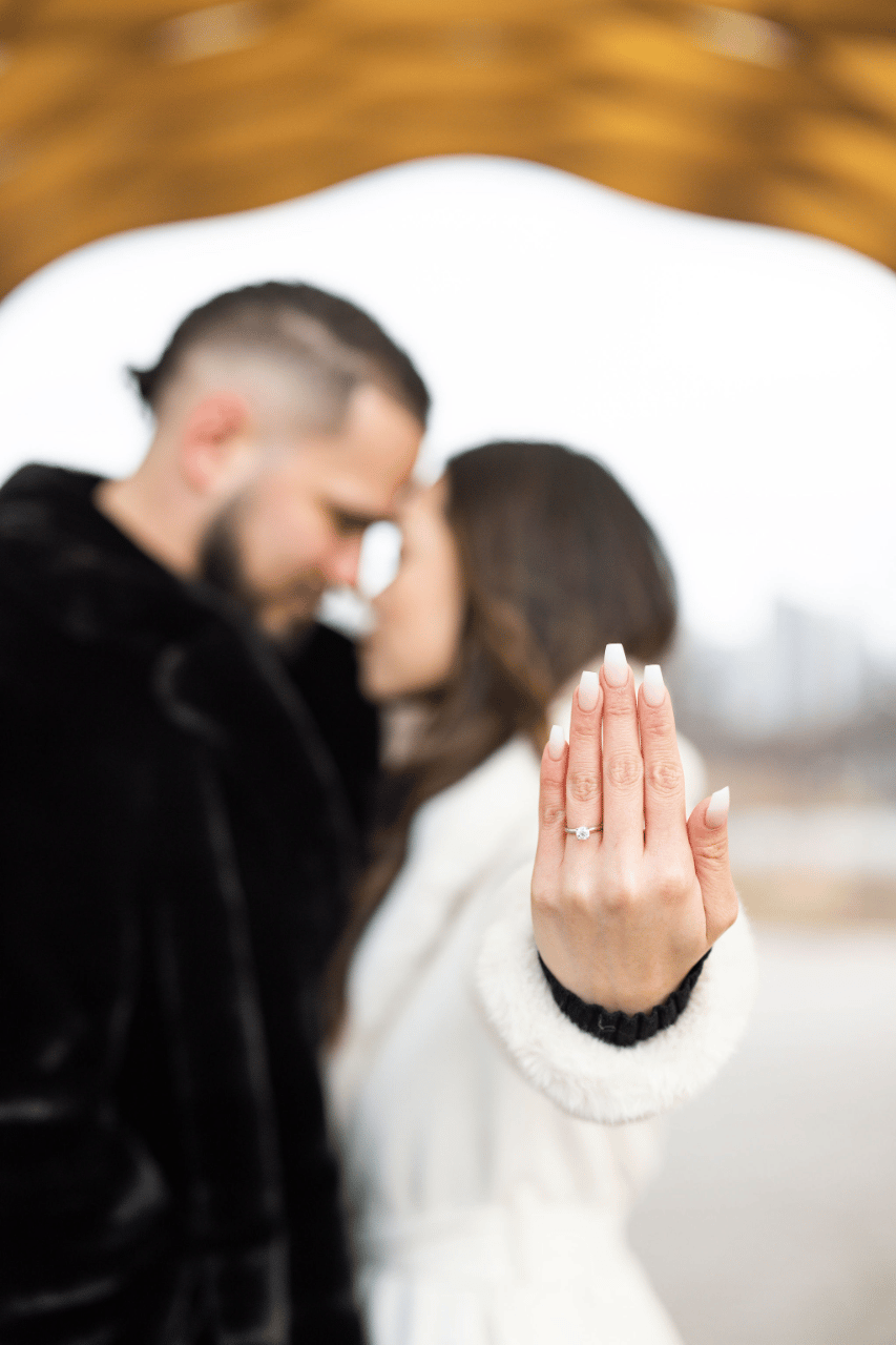 A Modern Winter Engagement Shoot at Lincoln Park Zoo