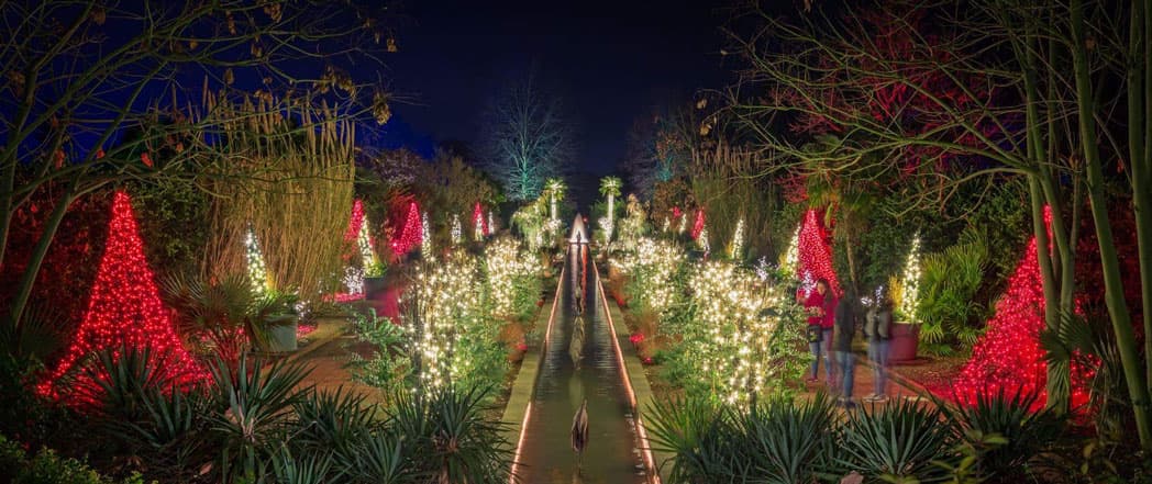 Daniel Stowe Botanical Garden portfolio 1