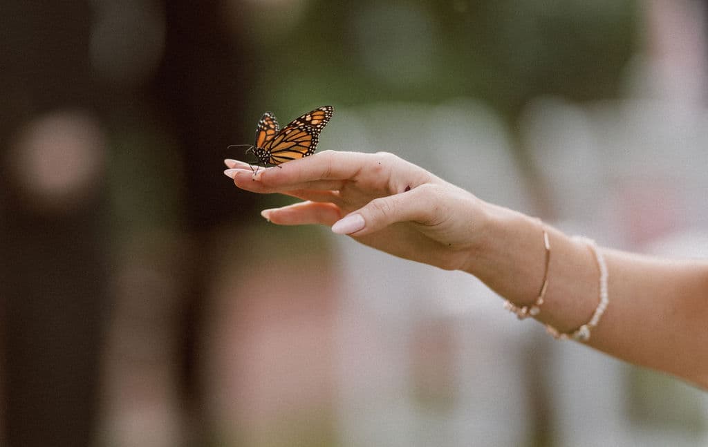 A Whimsical Fall Wedding at Daniel Stowe Botanical Garden 5