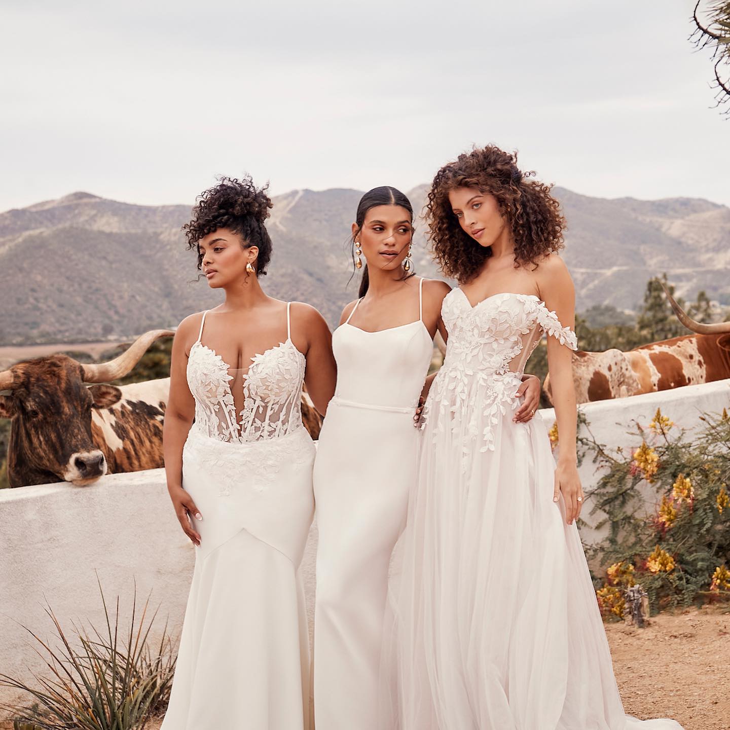Beloved by Casablanca Bridal portfolio 1