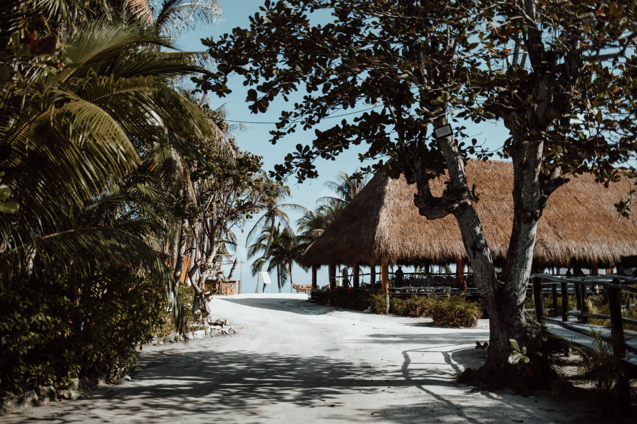 A Classic Winter Wedding at Blue Venado photo 3