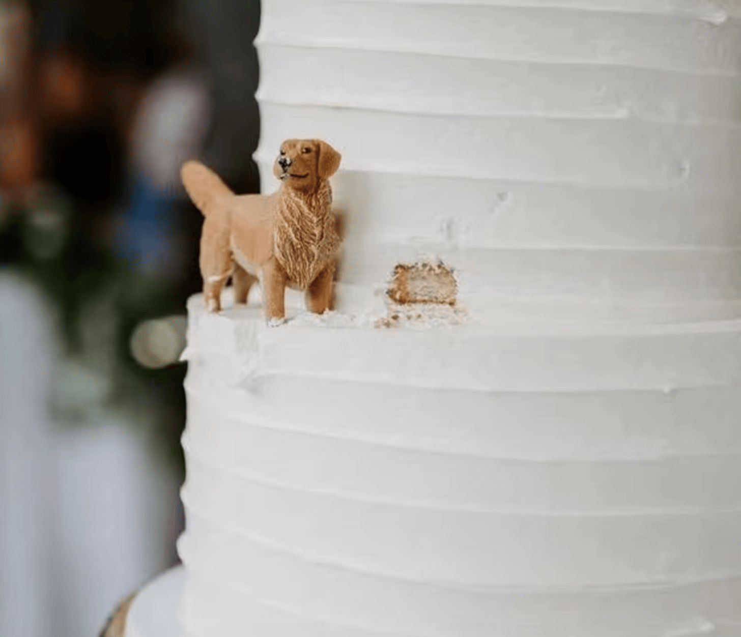 Pet Cake Topper