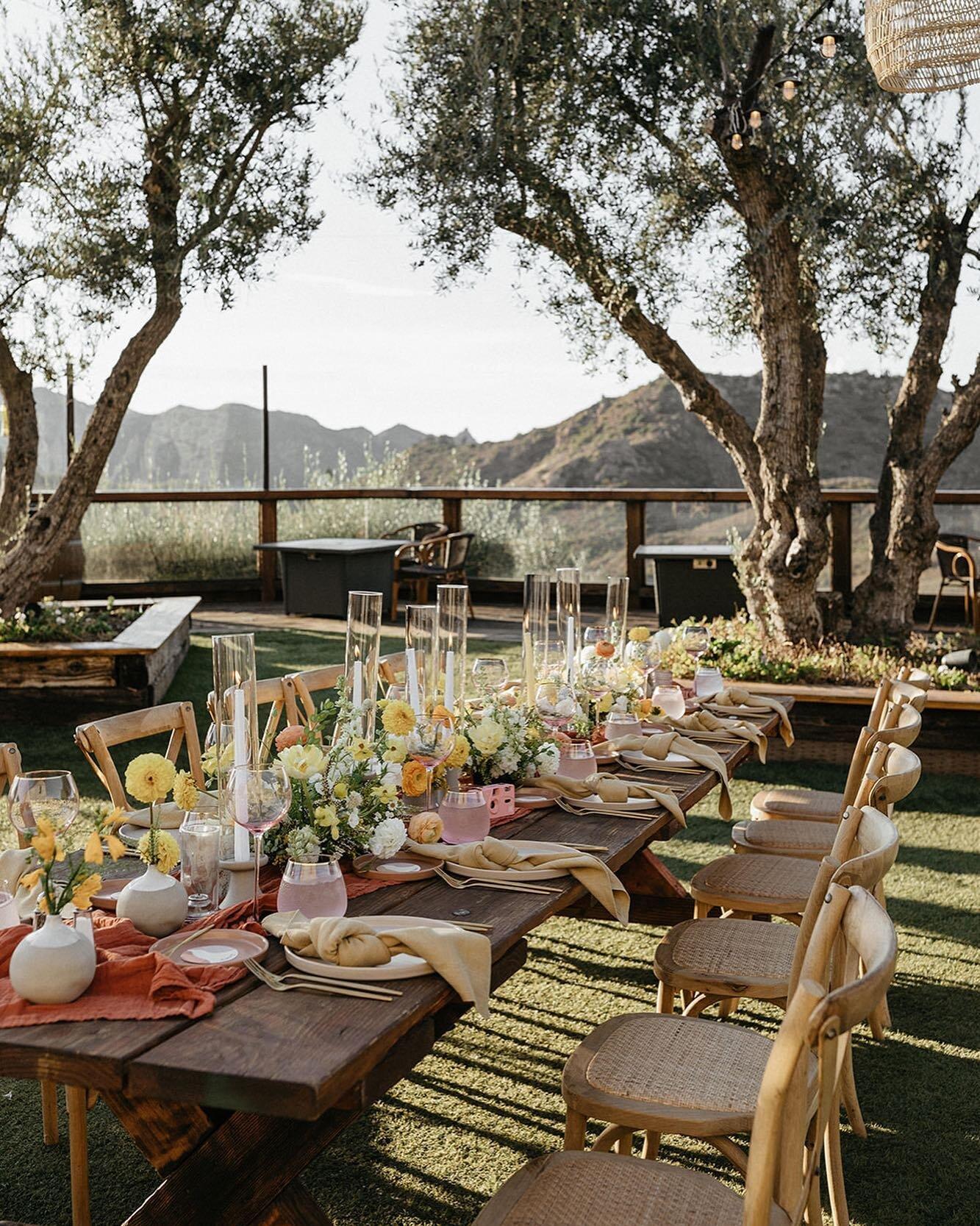 Palm and Pine Events