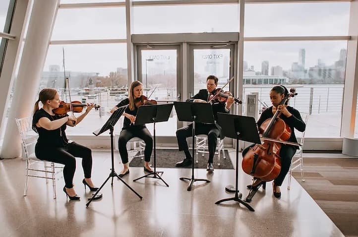 Innocenti Strings portfolio 1