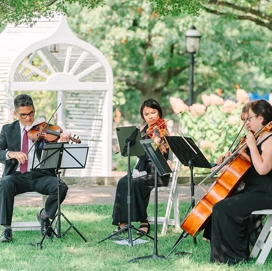 Innocenti Strings portfolio 2