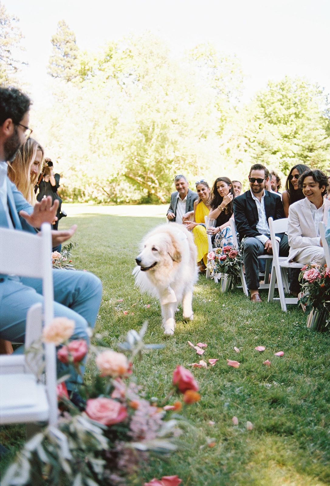 A Classic Outdoor Summer Wedding at Dawn Ranch 14