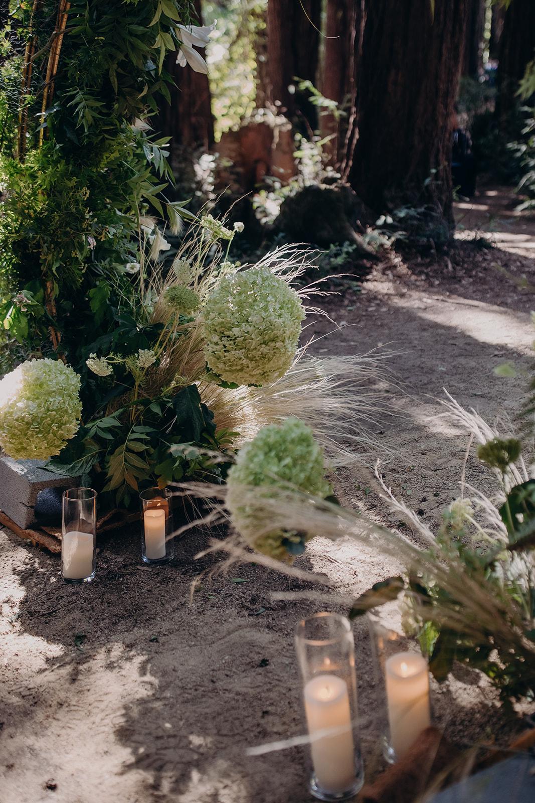 This Couple Wed in the Middle of the Forest! 36