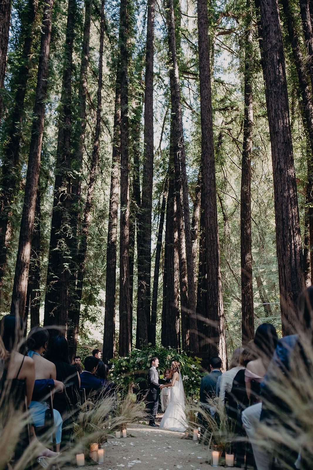 This Couple Wed in the Middle of the Forest! 45