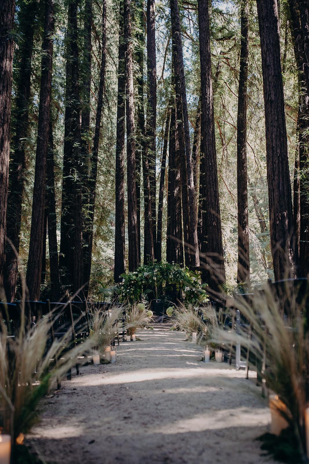 This Couple Wed in the Middle of the Forest! 25