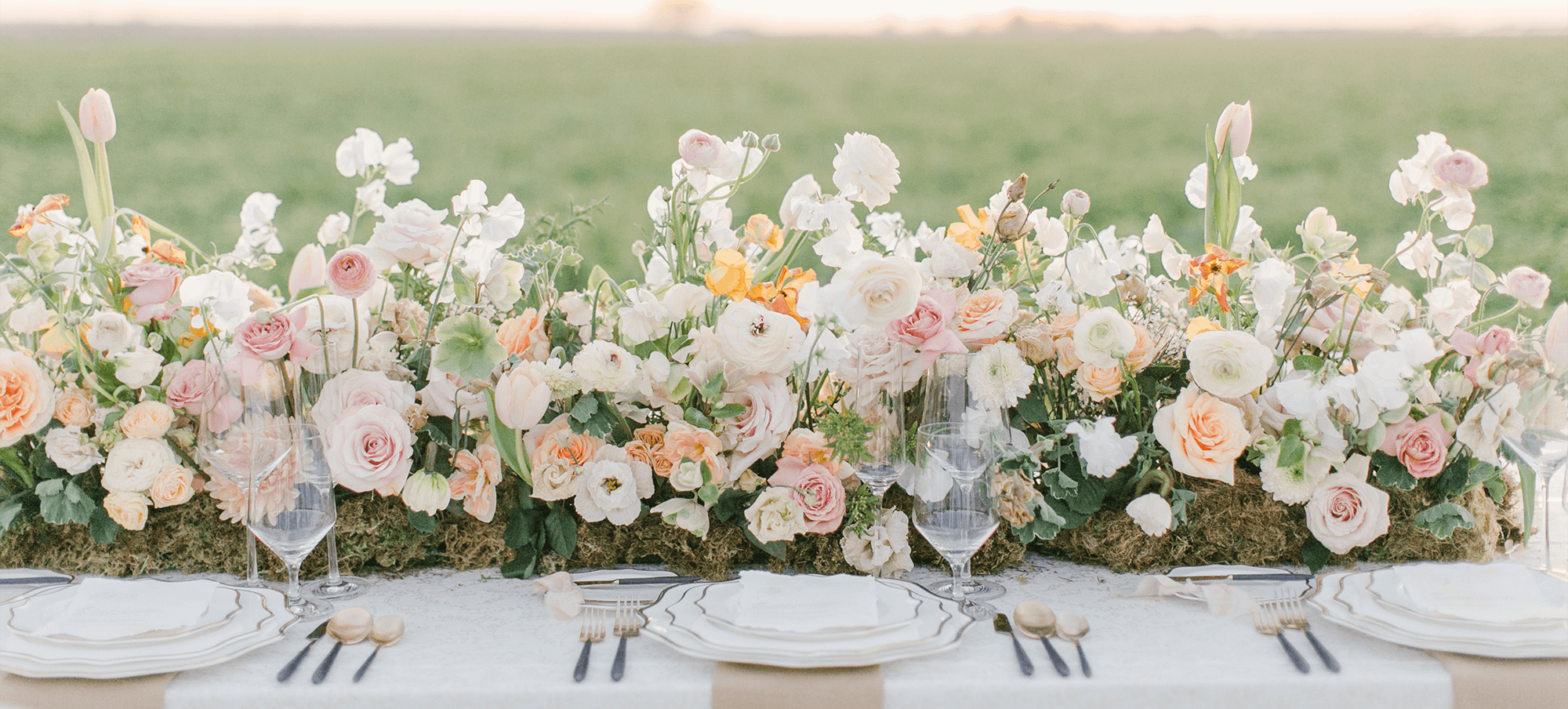 Standard Event Rentals