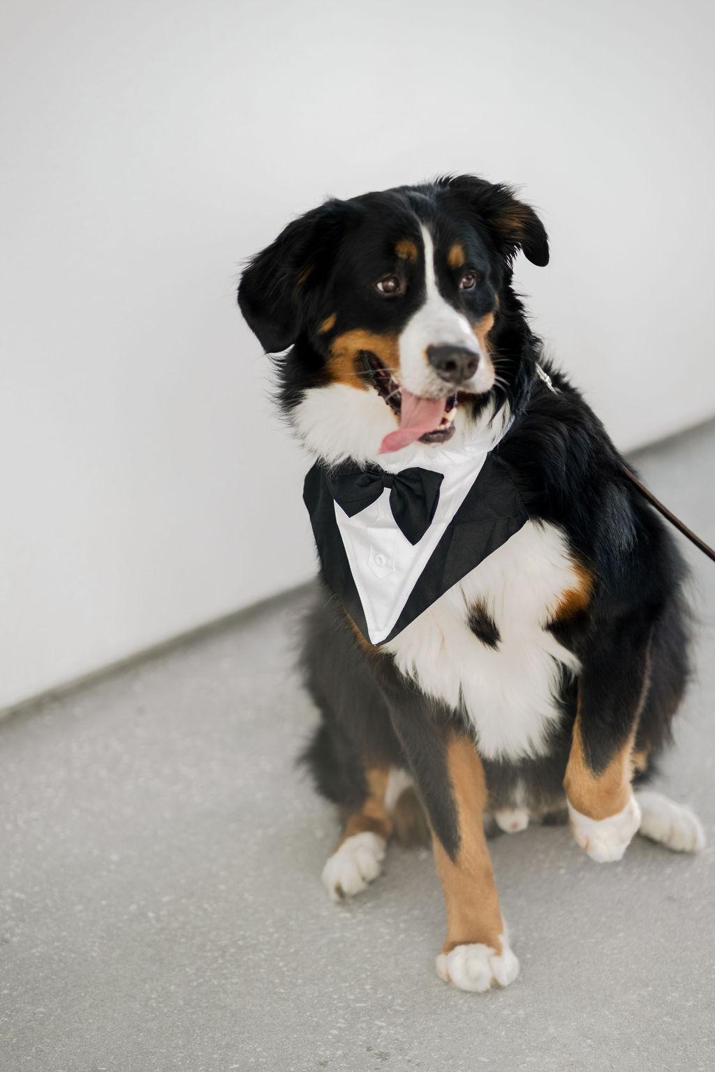 A Glamorous Wedding Day at the Norton Museum of Art 39