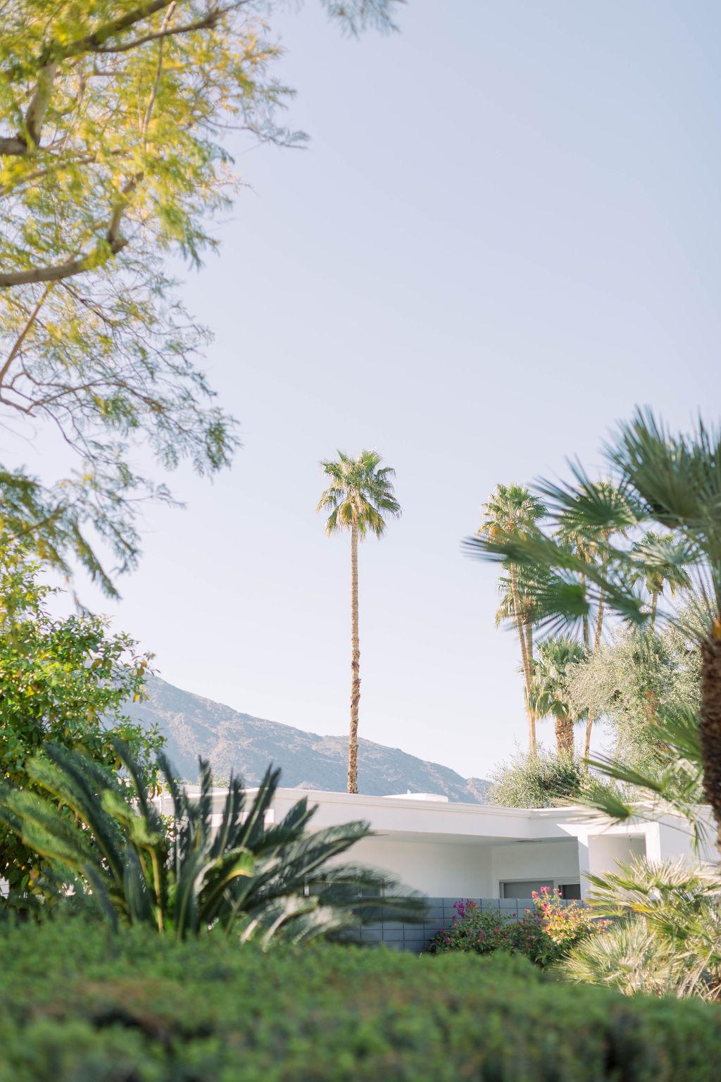 A Colorful Spring Wedding in Palm Springs 35