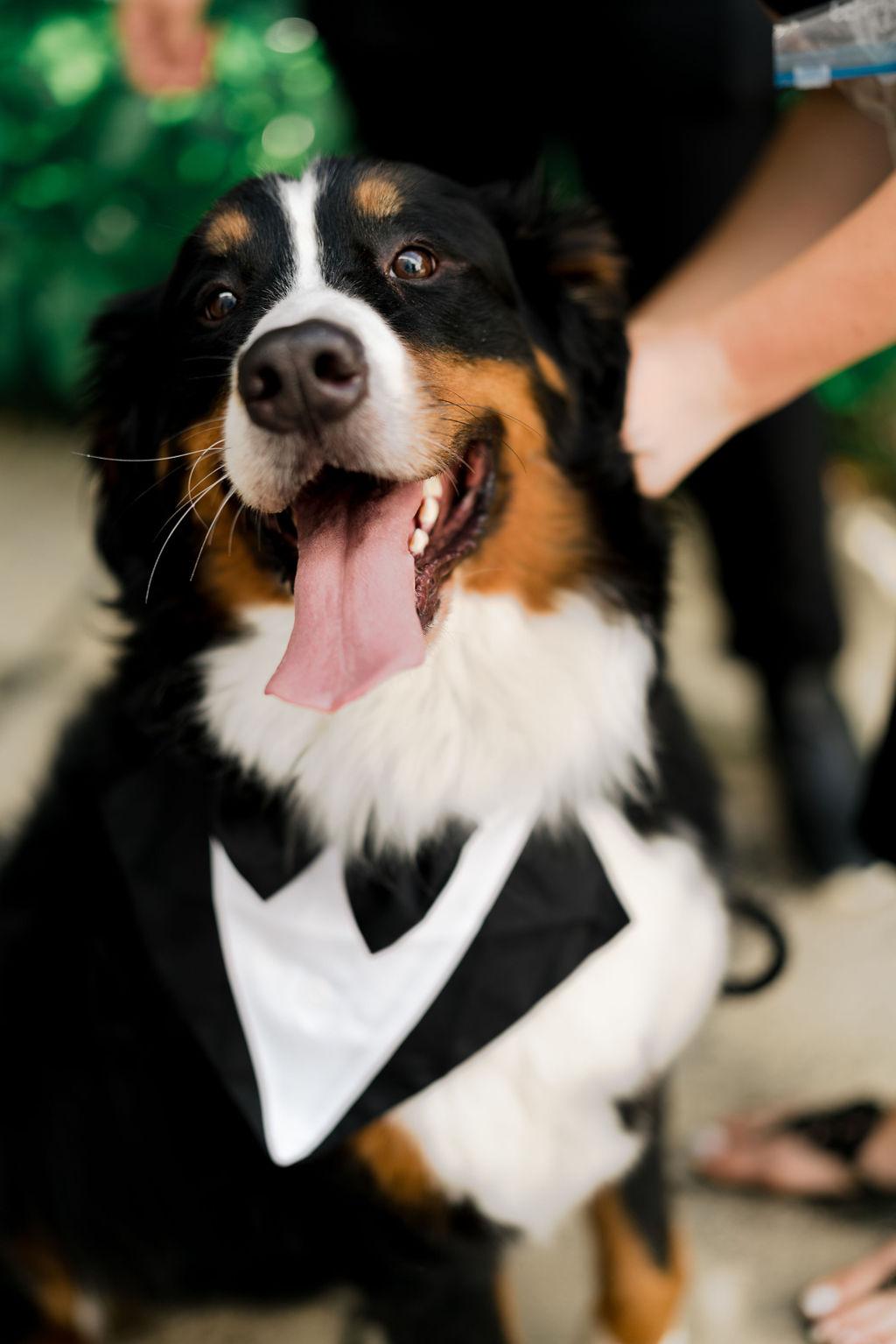 A Glamorous Wedding Day at the Norton Museum of Art 41