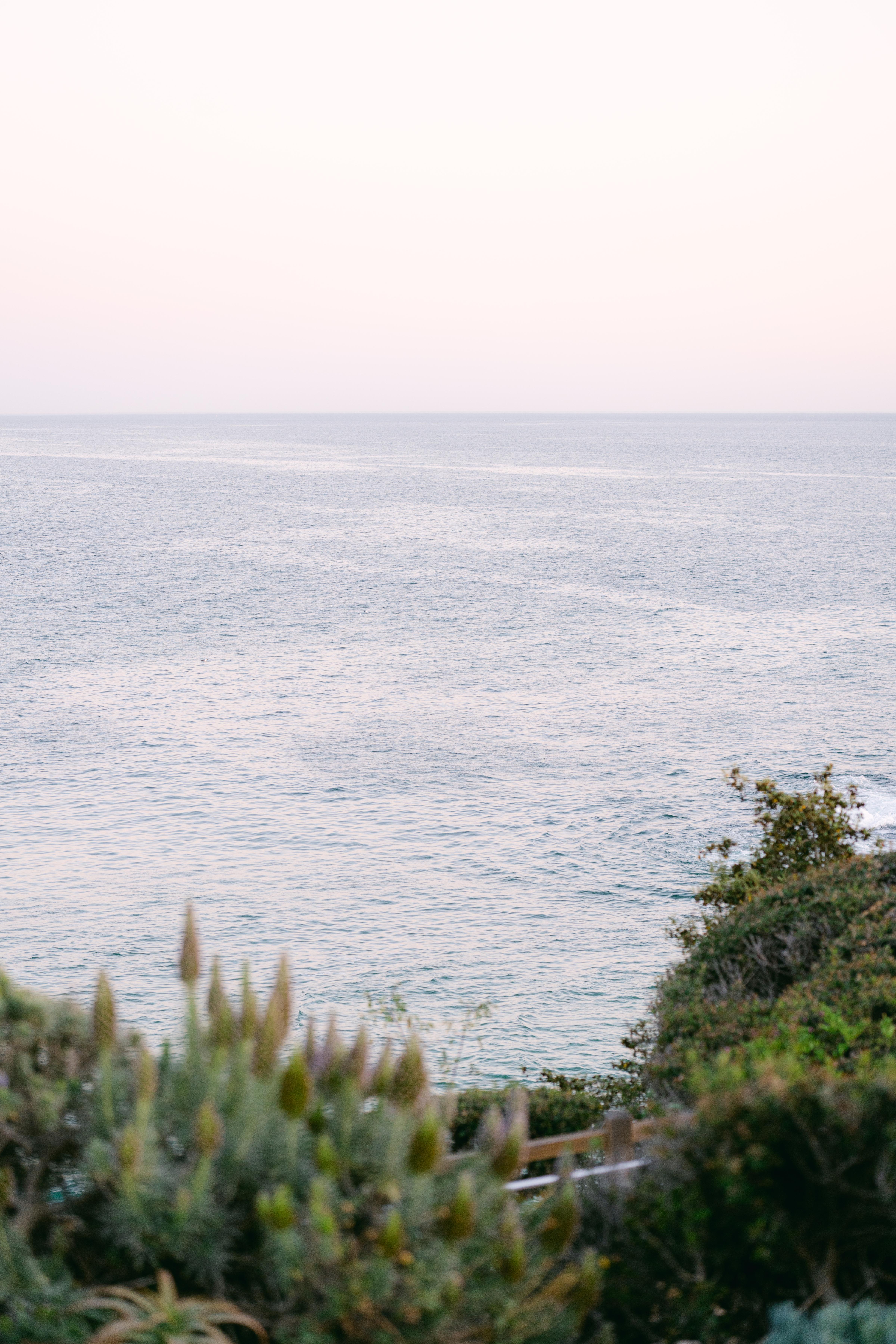 A Modern Spring Wedding at the Montage Laguna Hotel 30